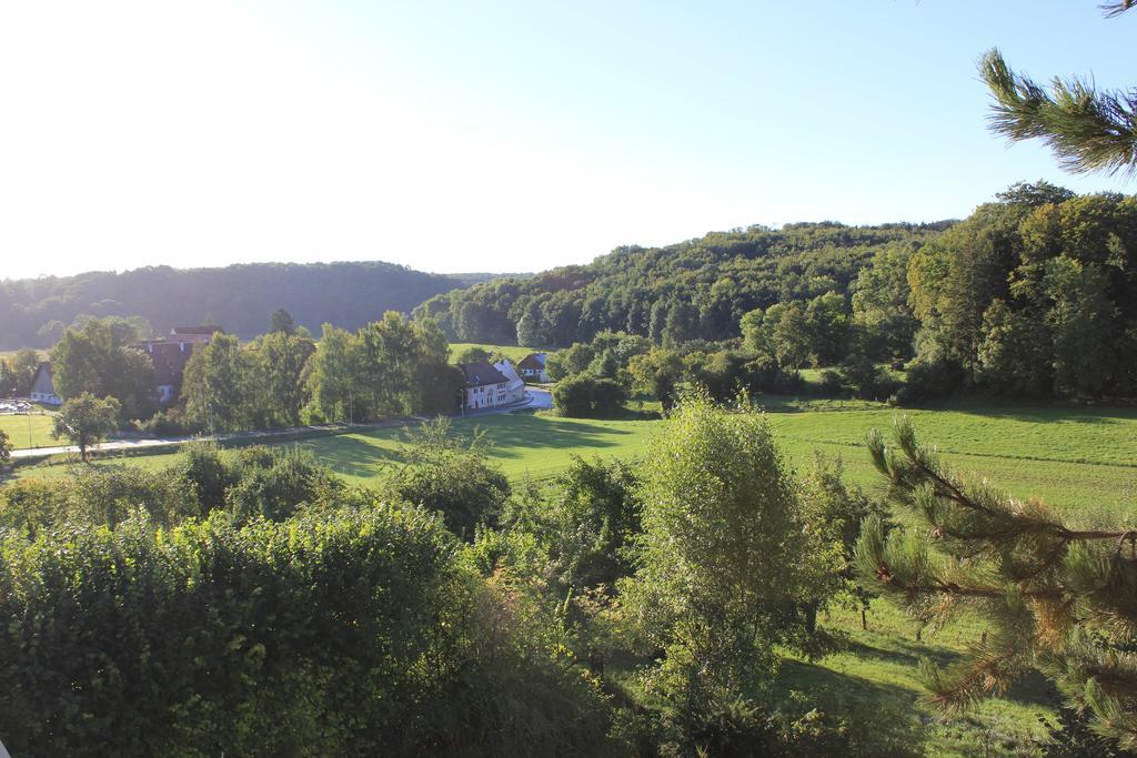 Hotel Haus Kallenberg Herbrechtingen Kamer foto